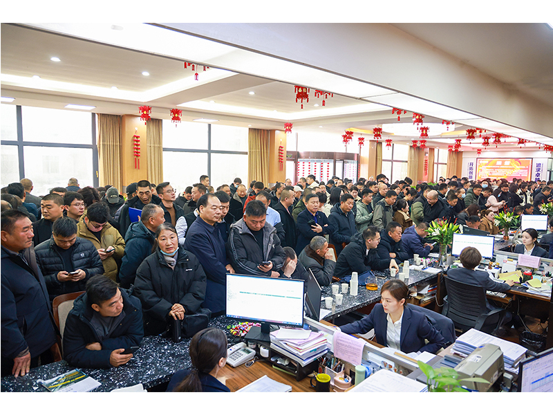 河南尊龙抖圈官网｜立春又逢“开门红”，，，，，奋斗开启新征程